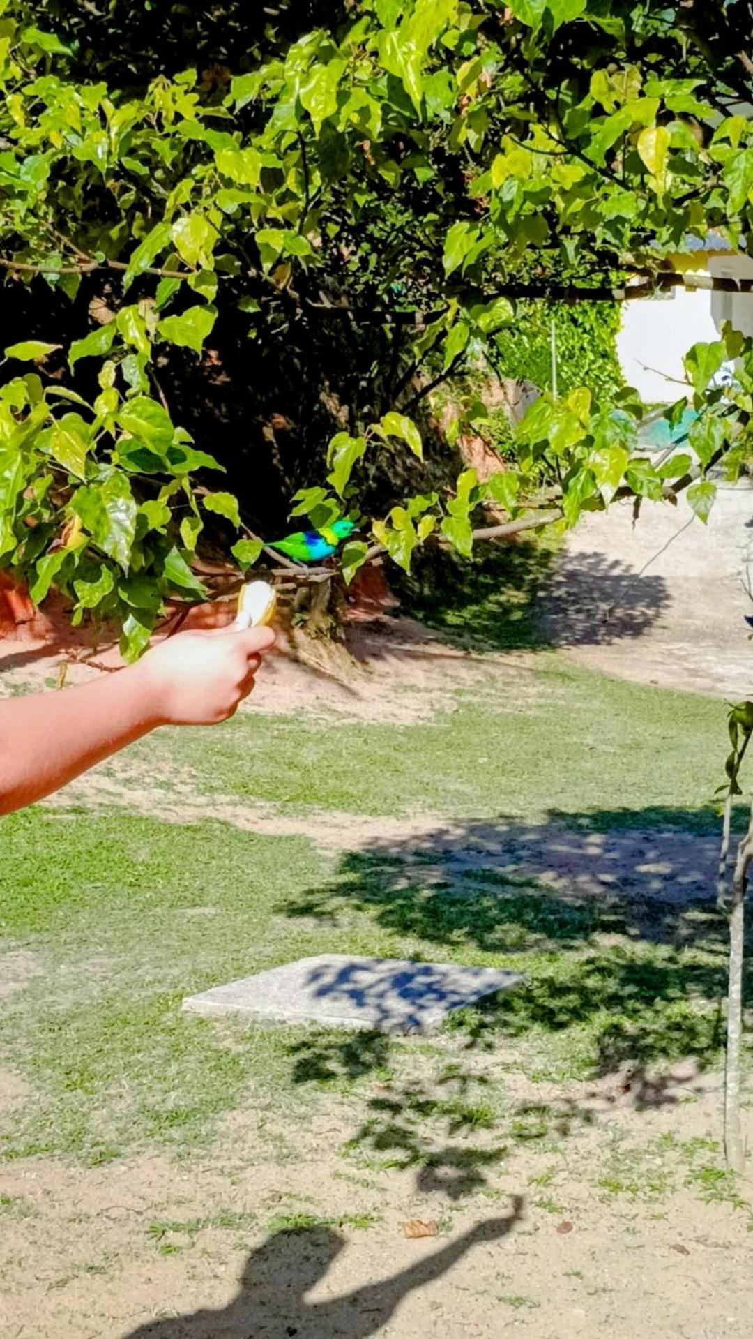 Pousada Casa Da Montanha サーナ エクステリア 写真