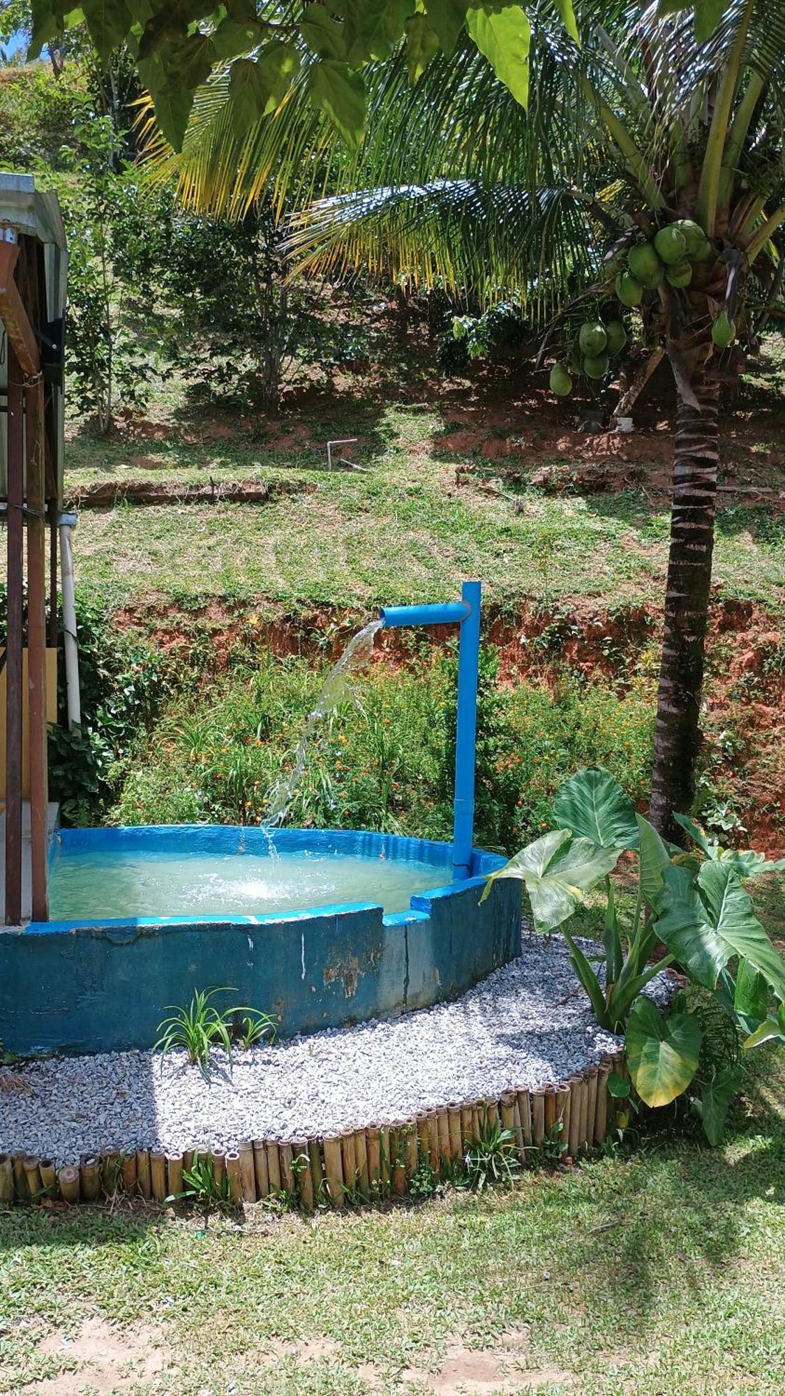 Pousada Casa Da Montanha サーナ エクステリア 写真